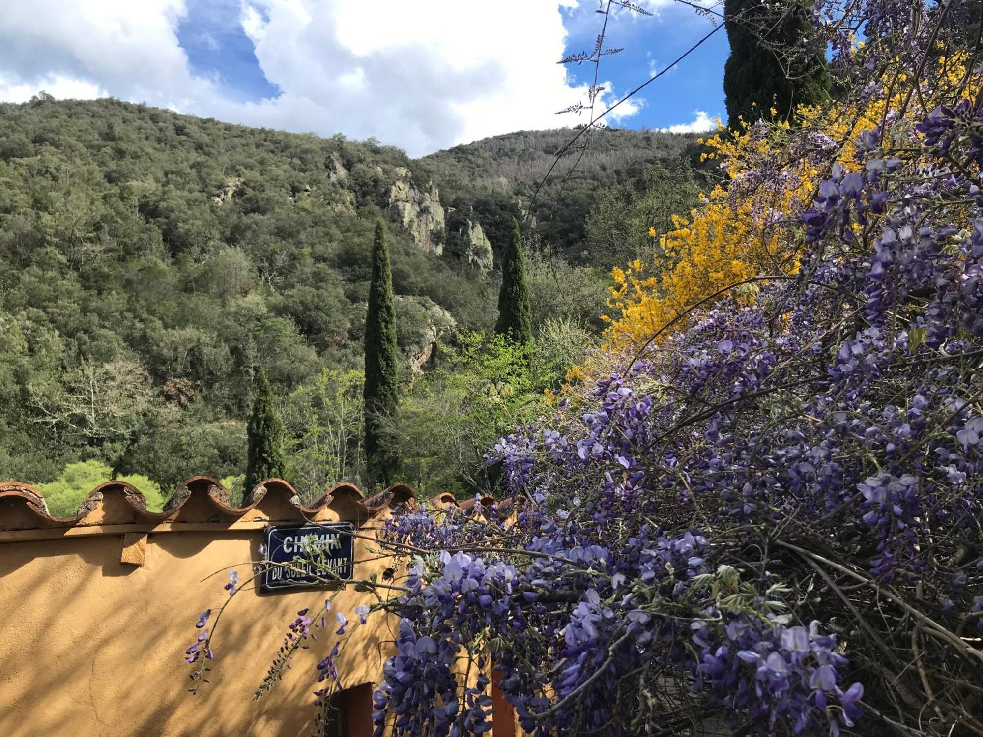 הוילה Reynès El Refugio מראה חיצוני תמונה