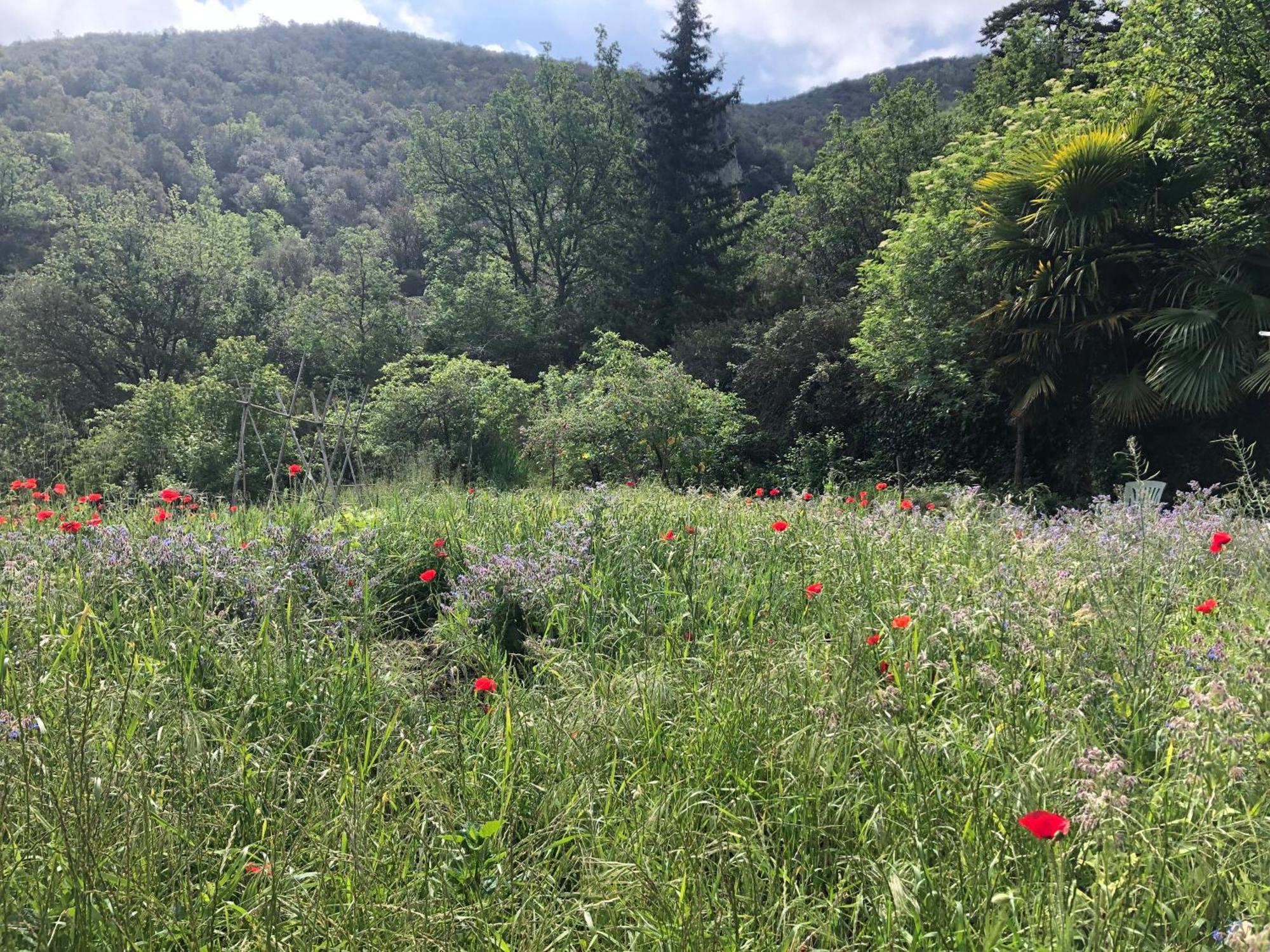 הוילה Reynès El Refugio מראה חיצוני תמונה