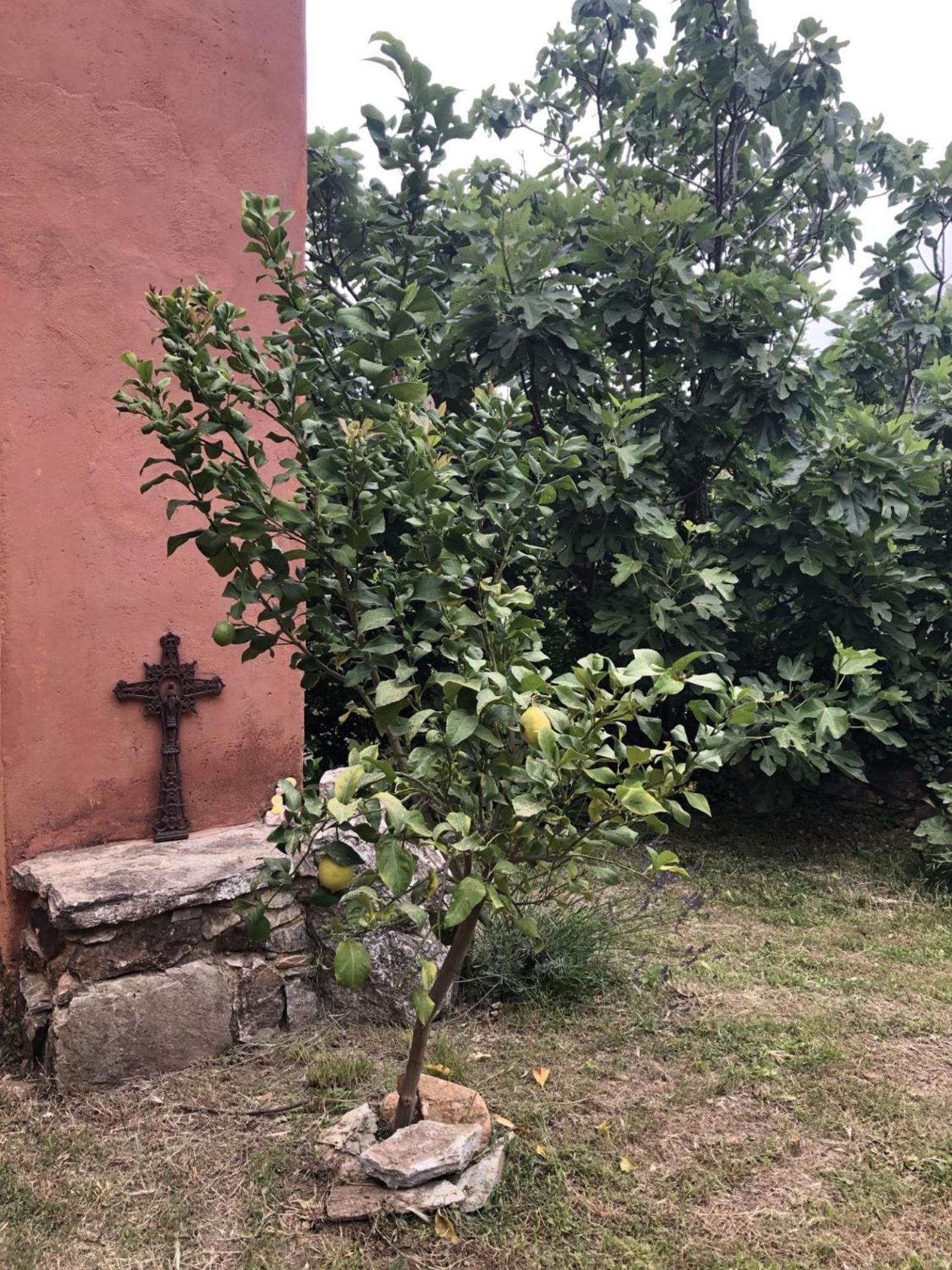 הוילה Reynès El Refugio מראה חיצוני תמונה